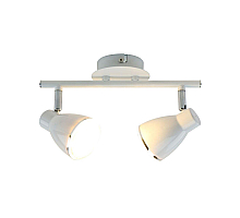 Светодиодный спот Arte Lamp Gioved A6008PL-2WH