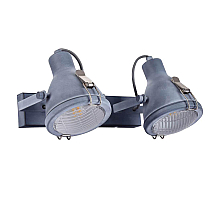 Спот Arte Lamp A9178AP-2GY