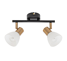 Спот Arte Lamp Falena A3117PL-2BK