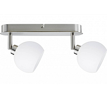 Спот Paulmann Wolbi 60295