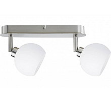 Спот Paulmann Wolbi 60295