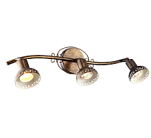 Спот Arte Lamp Focus A5219PL-3BR
