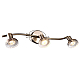 Спот Arte Lamp Focus A5219PL-3AB