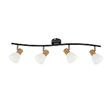 Спот Arte Lamp Falena A3117PL-4BK