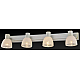 Спот Toplight Shona TL3740Y-04WG
