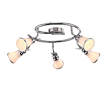 Спот Arte Lamp 81 A9231PL-5CC