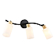 Настенно-потолочный спот Ambrella light TRADITIONAL TR8722