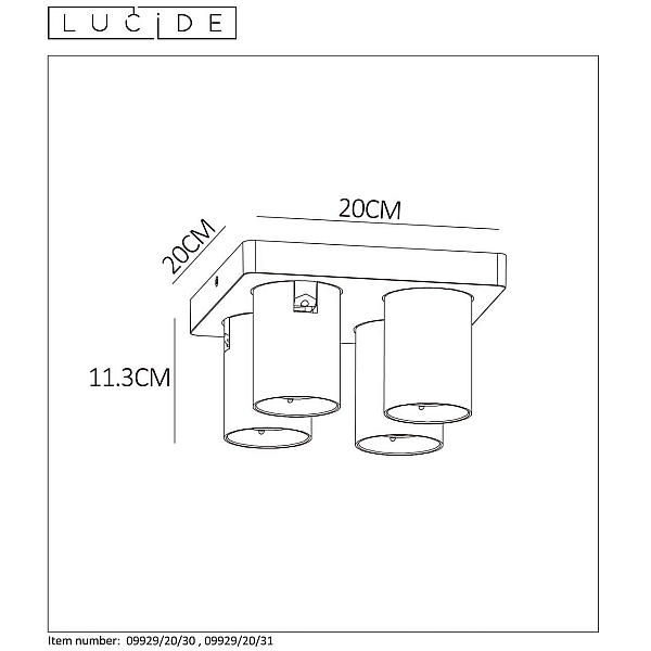 Спот Lucide Nigel 09929/20/31