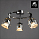 Светодиодный спот Arte Lamp 14 A1558PL-3CC