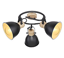 Спот Globo Wiho 54018-3S