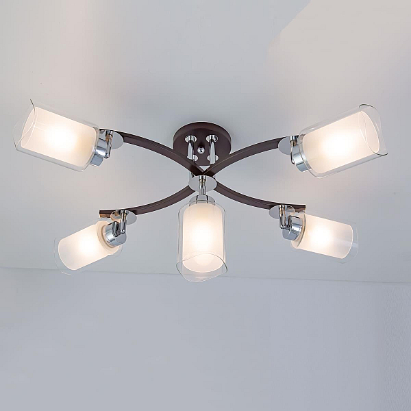 Спот Citilux Фортуна CL156152