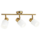 Спот Ambrella light Traditional TR3972