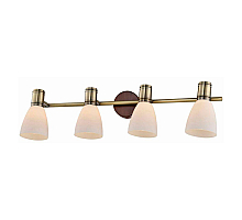 Спот Toplight Sharyl TL3720Y-04BB