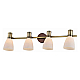Спот Toplight Sharyl TL3720Y-04BB
