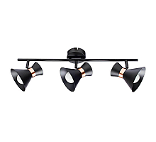 Спот Arte Lamp Baltimore A1406PL-3BK