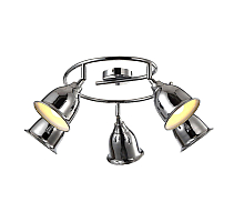 Спот Arte Lamp Campana A9557PL-5CC