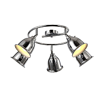 Спот Arte Lamp Campana A9557PL-5CC