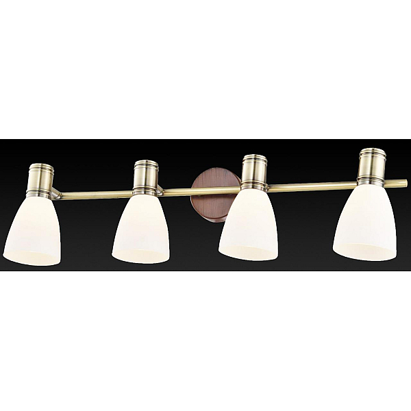 Спот Toplight Sharyl TL3720Y-04BB
