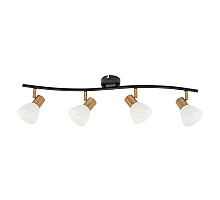 Спот Arte Lamp Falena A3117PL-4BK