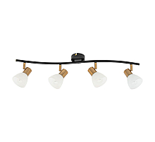 Спот Arte Lamp Falena A3117PL-4BK