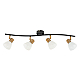 Спот Arte Lamp Falena A3117PL-4BK