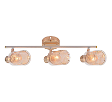 Спот Reluce 06125-3.8-03 WH+FGD