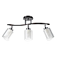Спот Citilux Фортуна CL156132