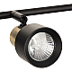 Спот Citilux CL505641
