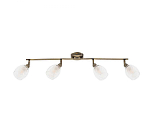 Спот Arte Lamp Biham A3184PL-4AB