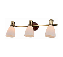 Спот Toplight Sharyl TL3720Y-03BB