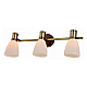 Спот Toplight Sharyl TL3720Y-03BB