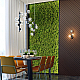 Бра Odeon Light Modern Tovi 4818/3W