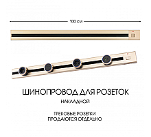 Накладной шинопровод с выключателем Arte Milano Am-track-sockets 385201TOB/100 Gold