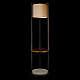 Торшер Loft IT Nora 10575F