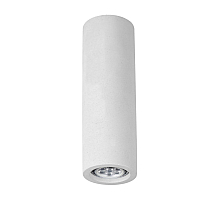 Потолочный светильник Arte Lamp A9267PL-1WH