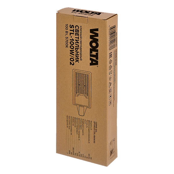 Уличный консольный светильник WOLTA STL-100W/02