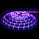 Светодиодная лента Elektrostandard 24V 14,4W 60Led 5050+5050 IP20 MIX RGB/дневной белый, 5м 4690389172267