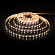 Светодиодная лента Elektrostandard 24V 24W 60Led 5050 IP20 MIX RGB/дневной белый, 5м 4690389172304