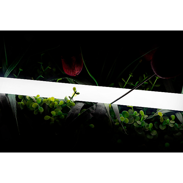 Светодиодная лента SWG PRO 2835 360 LED/м 16 Вт/м 24В 4000K IP66 013284