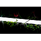 Светодиодная лента SWG PRO 2835 360 LED/м 16 Вт/м 24В 4000K IP66 013284
