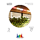 Светодиодная лента Эра FITO-Strip Light-Rа90-3m Б0059881
