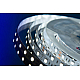 Светодиодная лента DesignLed DSG560-12-W-33 000513