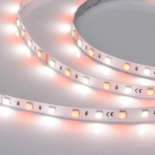 Светодиодная лента Arlight RT-B60-10mm 24V RGBW-Day (14.4 W/m, IP20, 5m) (Открытый) 018326(3)