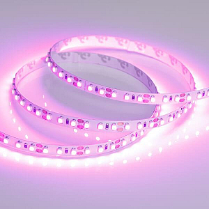 Светодиодная лента Arlight RT-A120-8mm 12V Pink (9.6 W/m, IP20, 2835, 5m) 015897(2)
