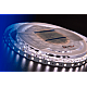 Светодиодная лента DesignLed DSG560-24-NW-33 002118