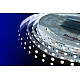 Светодиодная лента DesignLed DSG560-12-W-33 000513