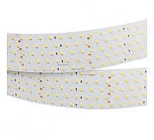 Светодиодная лента Arlight RT 2-2500 24V Warm2700 5x2 (2835, 875 LED, CRI98) 025165