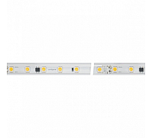 Светодиодная влагозащищенная лента Arlight 8W/m 54LED/m 5060SMD дневной белый 50M 027057(2)