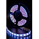 Светодиодная лента SWG SWG560-24-14.4-RGB-68-M 013189