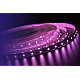 Светодиодная лента DesignLed DSG3A60-24-RGB-33 002843
